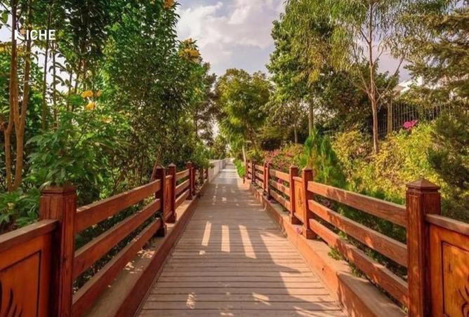 8219407 - Property Image 3