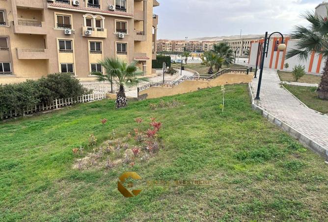 7939391 - Property Image 3