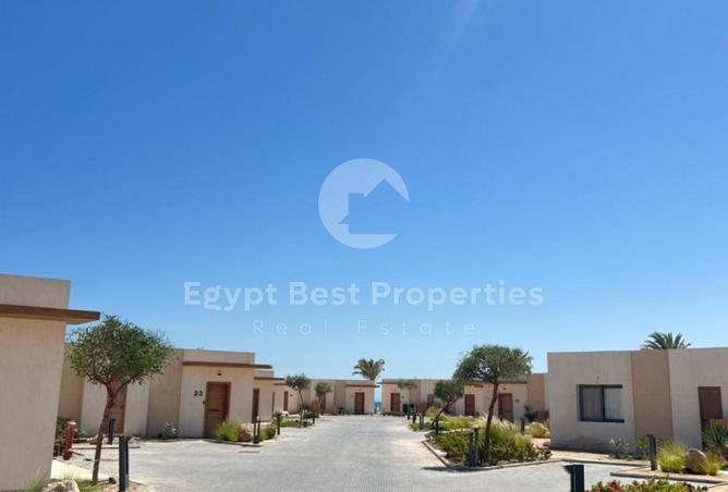 7918193 - Property Image 2