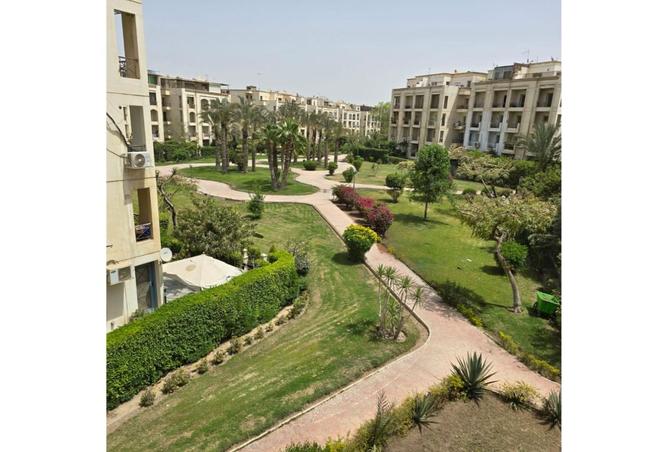 8404958 - Property Image 3