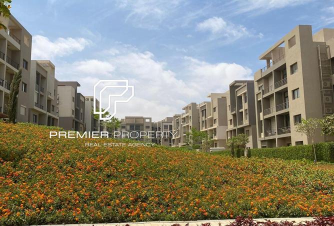 8382577 - صورة العقار 2