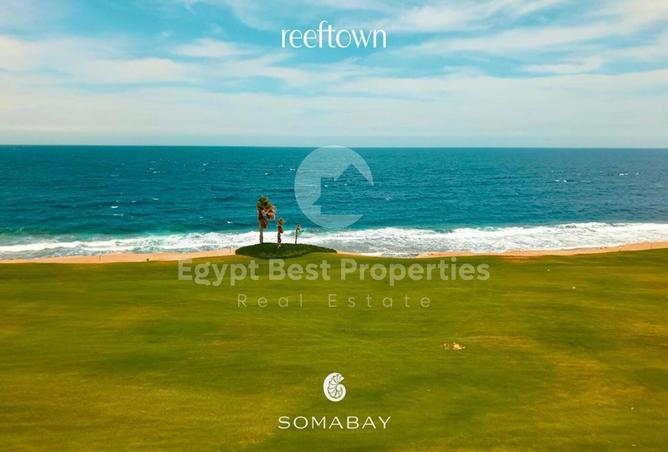 7983253 - Property Image 3