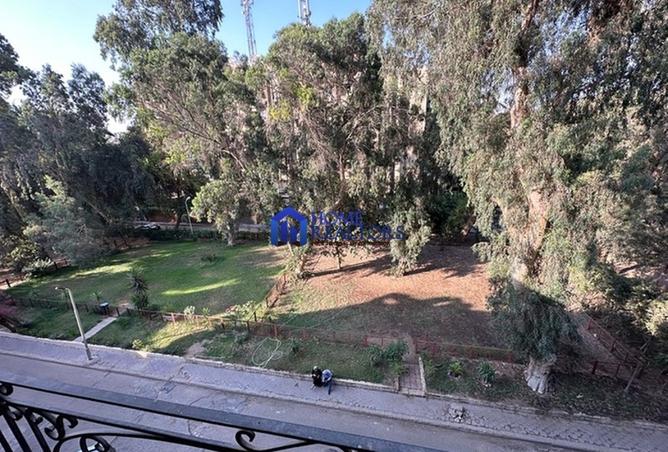 8317339 - صورة العقار 3