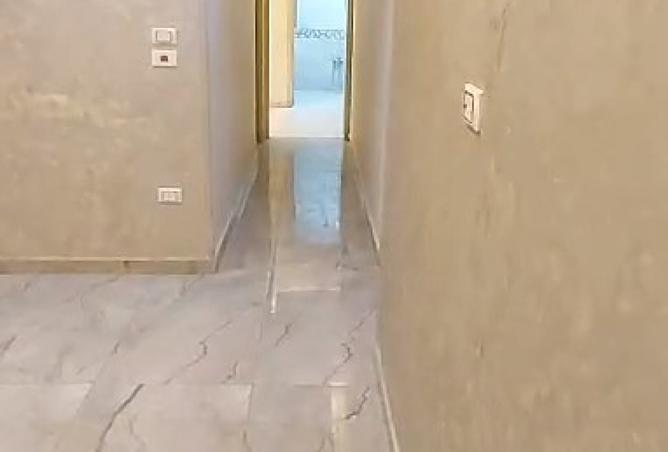 8272829 - Property Image 3