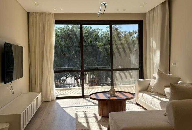 8498788 - Property Image 3