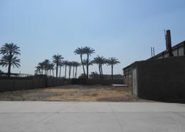10TH Ramadan\ 10000 M \ Near To Eastern Weavers