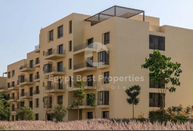 8038365 - Property Image 3