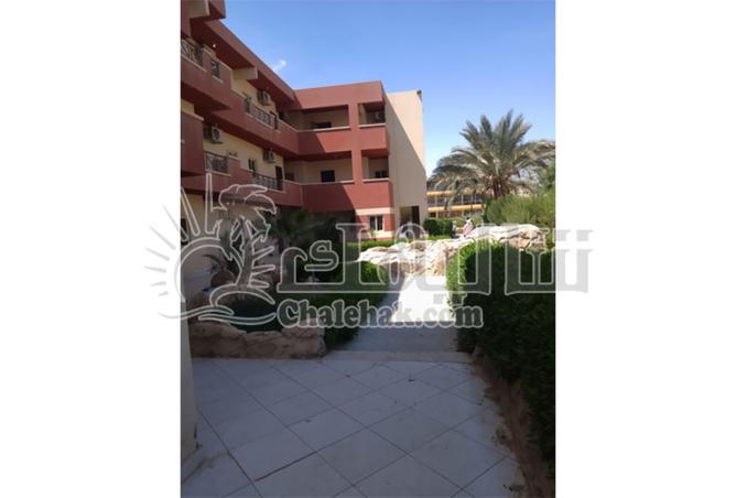 8236660 - Property Image 3