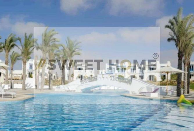 8097242 - Property Image 3
