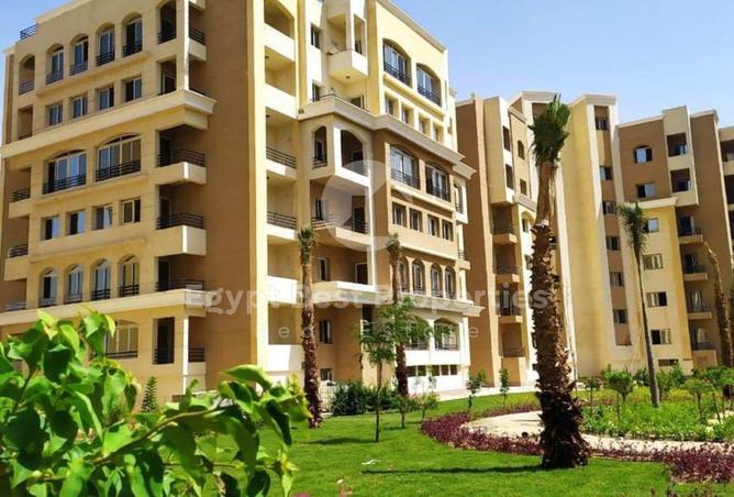 8413904 - صورة العقار 2