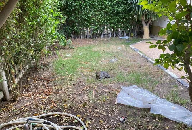 8297389 - Property Image 3