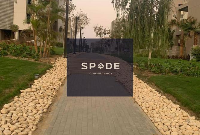 8306544 - Property Image 3