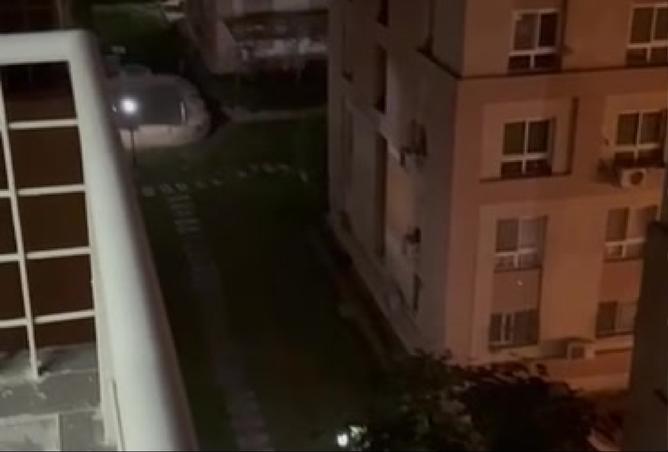 8493533 - صورة العقار 3