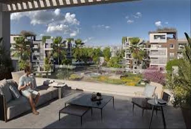 7990883 - Property Image 3