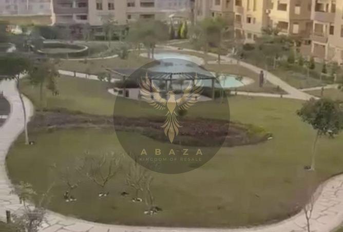 8244104 - Property Image 3