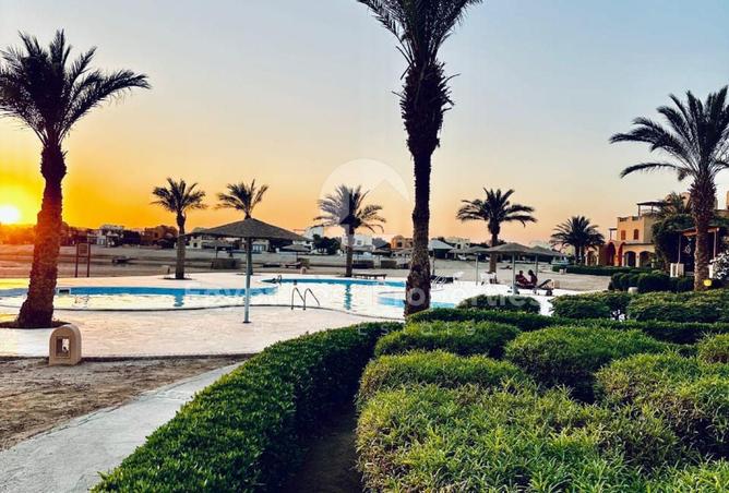 8469968 - Property Image 3