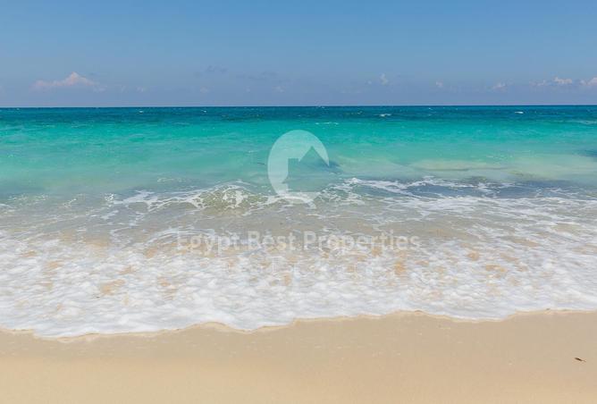 7982333 - Property Image 2