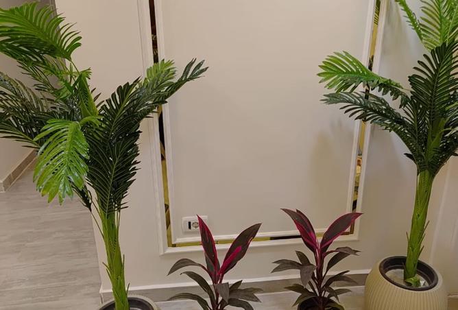 8367636 - صورة العقار 2