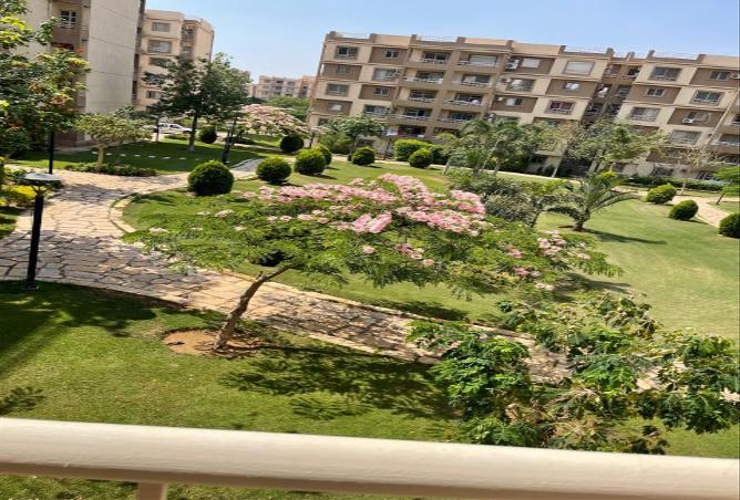 7973681 - صورة العقار 3
