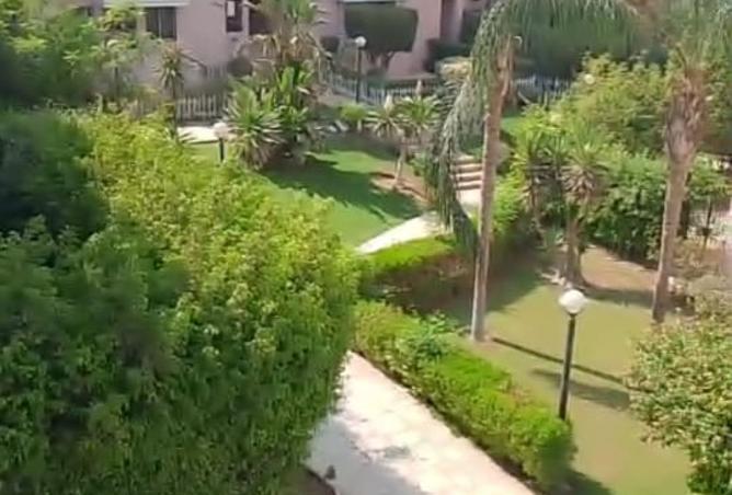 7915399 - صورة العقار 3