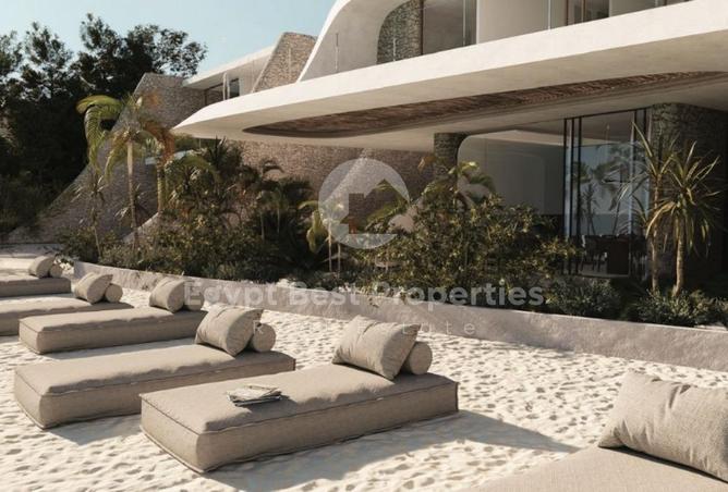 7891343 - Property Image 3