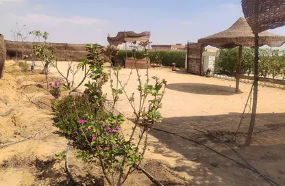 Farm - Studio for sale in Western Cairo Asuit Road - Giza