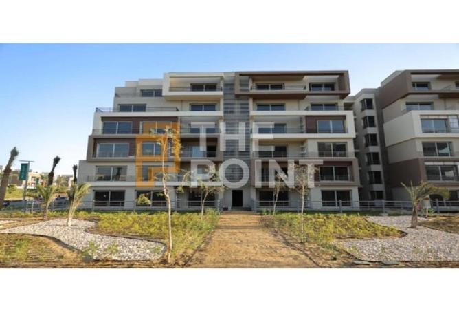 8293084 - صورة العقار 2