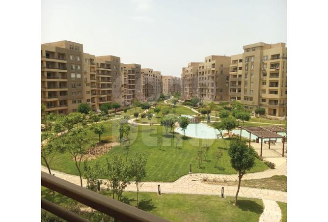 7986046 - صورة العقار 3
