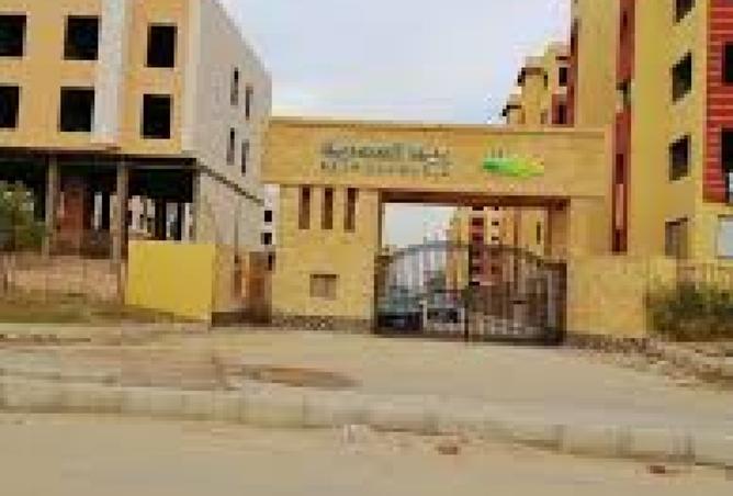 7895751 - صورة العقار 3