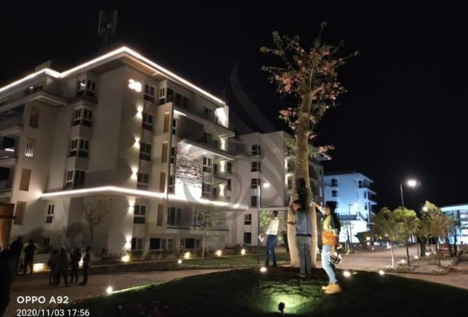 8169681 - صورة العقار 3