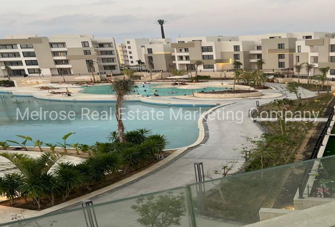 8379502 - Property Image 3