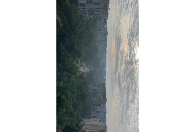 7987259 - صورة العقار 2
