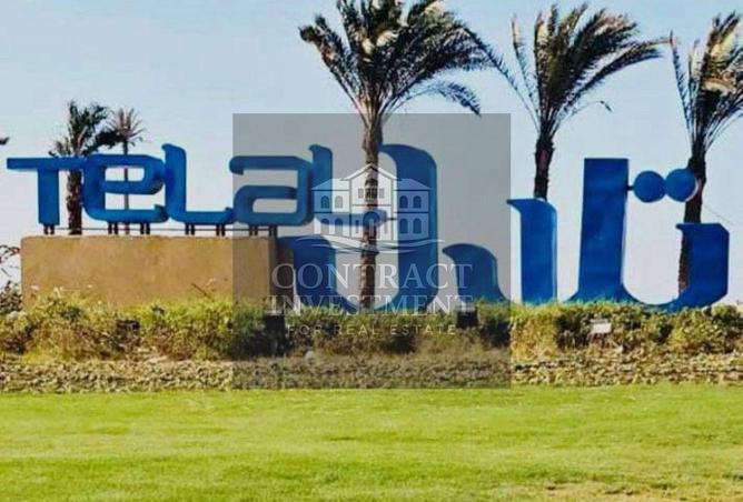 8302801 - صورة العقار 2