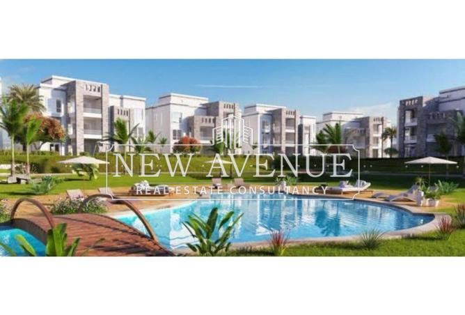 8482398 - Property Image 3