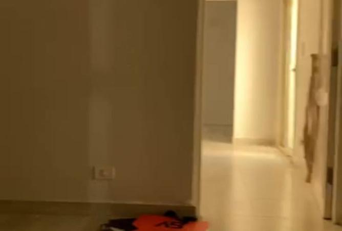 8544850 - صورة العقار 3