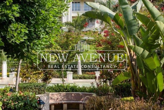 8248903 - Property Image 2