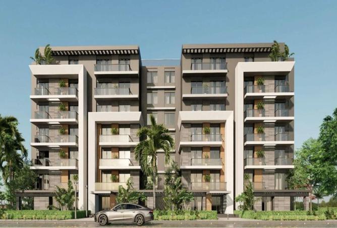 8393687 - Property Image 3