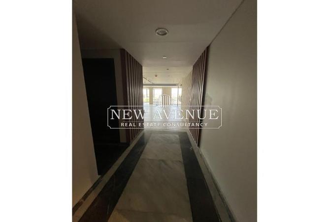 8375167 - Property Image 3