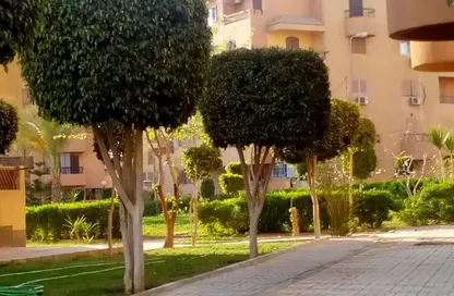 Apartment - 3 Bedrooms - 2 Bathrooms for rent in Al Shaheed Ali Al Sayed St. - North Investors Area - New Cairo City - Cairo