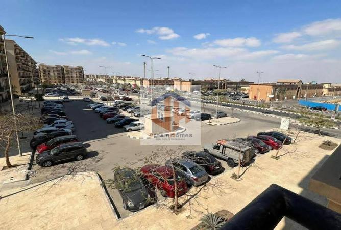 8269091 - Property Image 3