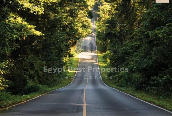 8124668 - Property Image 2