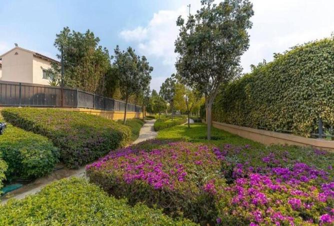 8188301 - صورة العقار 3