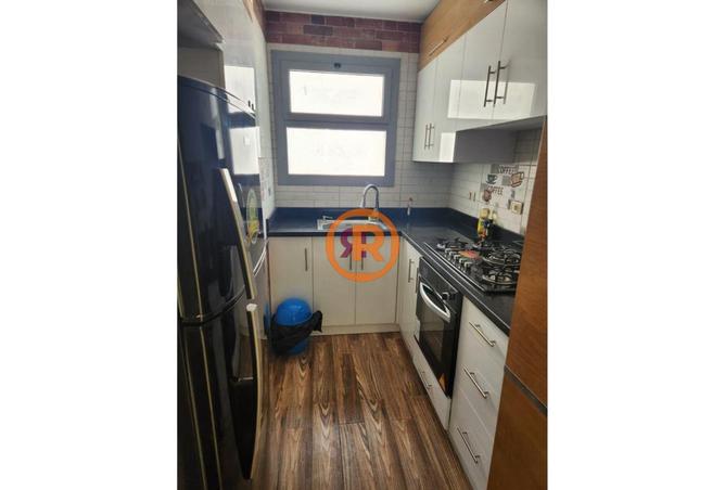 8243293 - Property Image 3