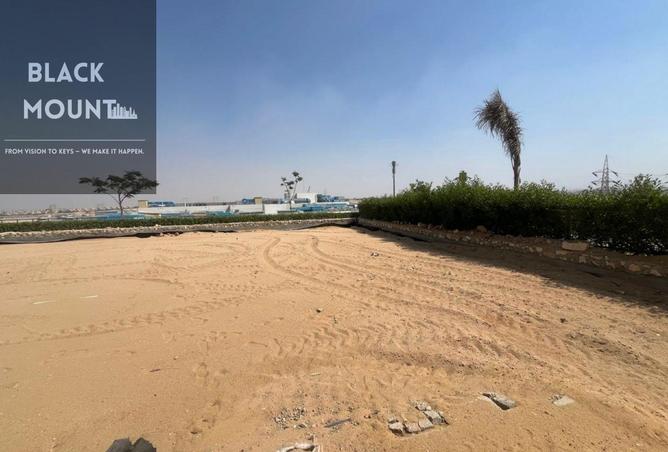 8118470 - Property Image 2