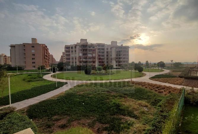 8028647 - الصورة الرئيسية للعقار