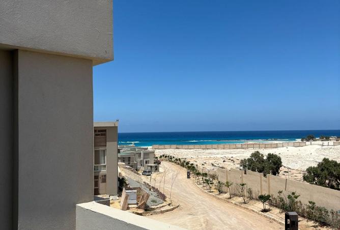 8338833 - صورة العقار 3