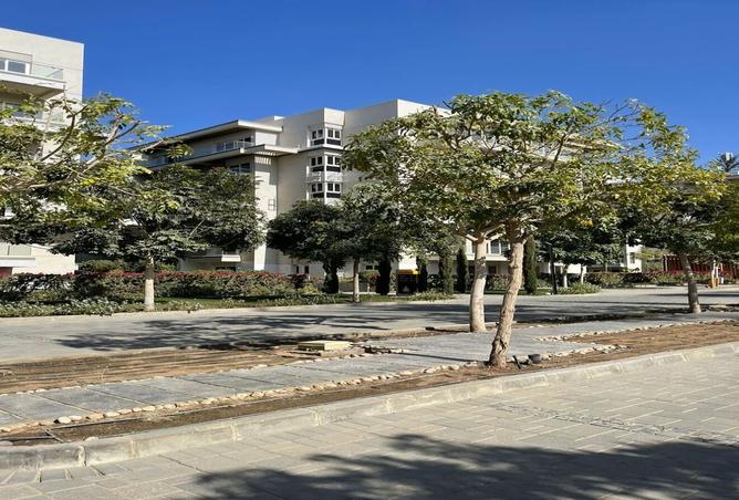 8546731 - Property Image 3