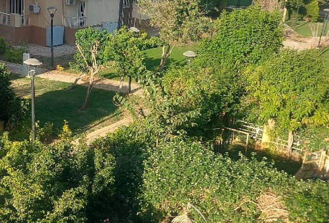 8027223 - صورة العقار 3