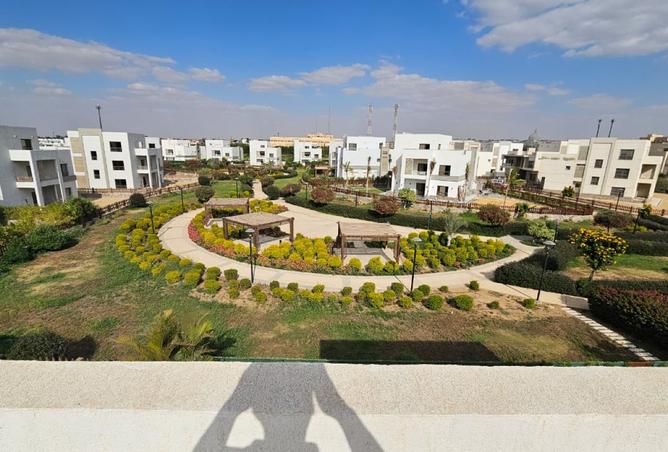 8151579 - صورة العقار 3