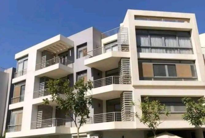 8255997 - Property Image 3